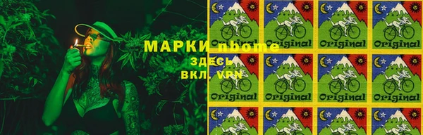 ГАЛЛЮЦИНОГЕННЫЕ ГРИБЫ Снежногорск