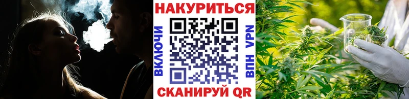 закладки  Астрахань  Конопля планчик 